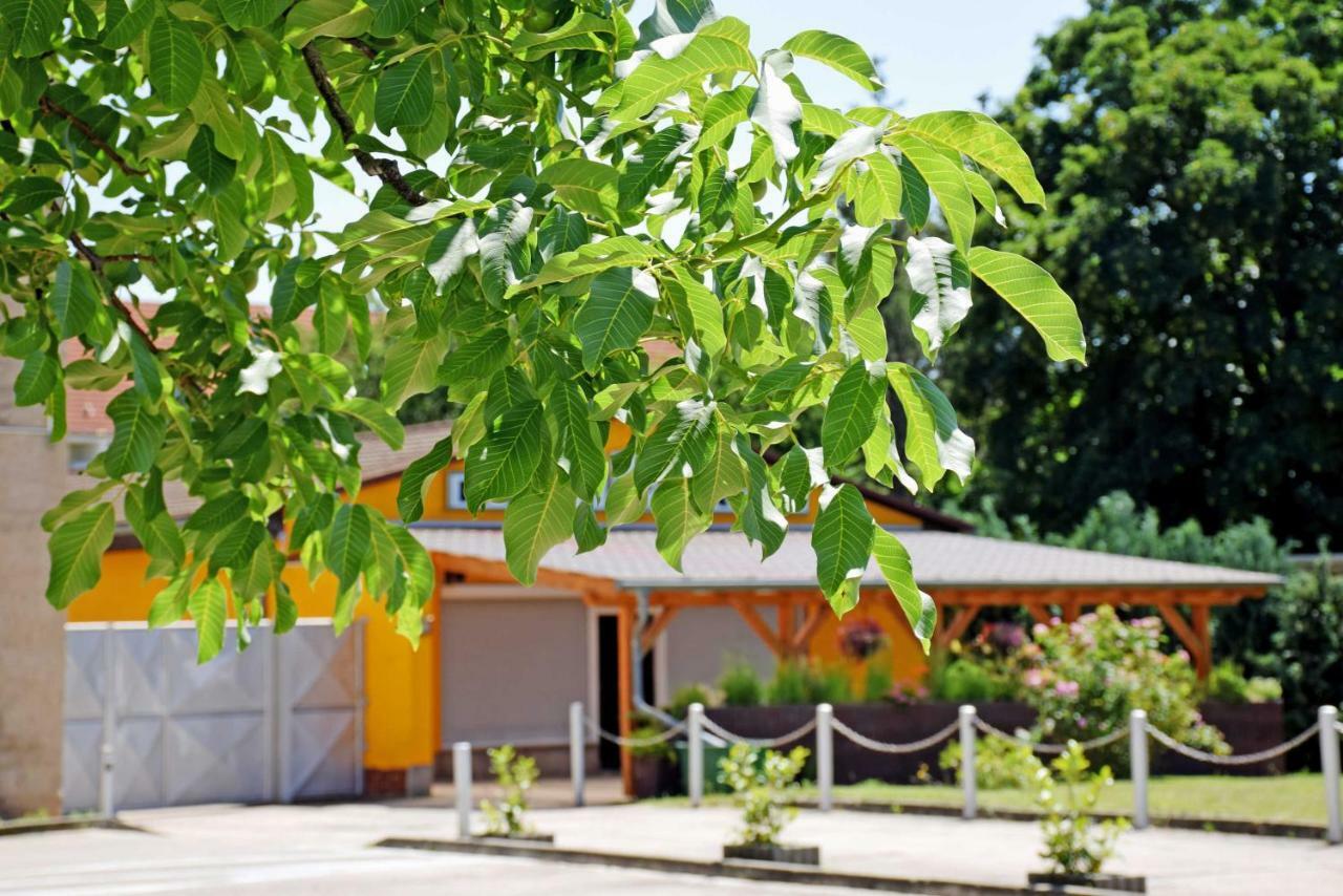 Ferienwohnung/ Ferienzimmer Asche Aschersleben Exterior foto